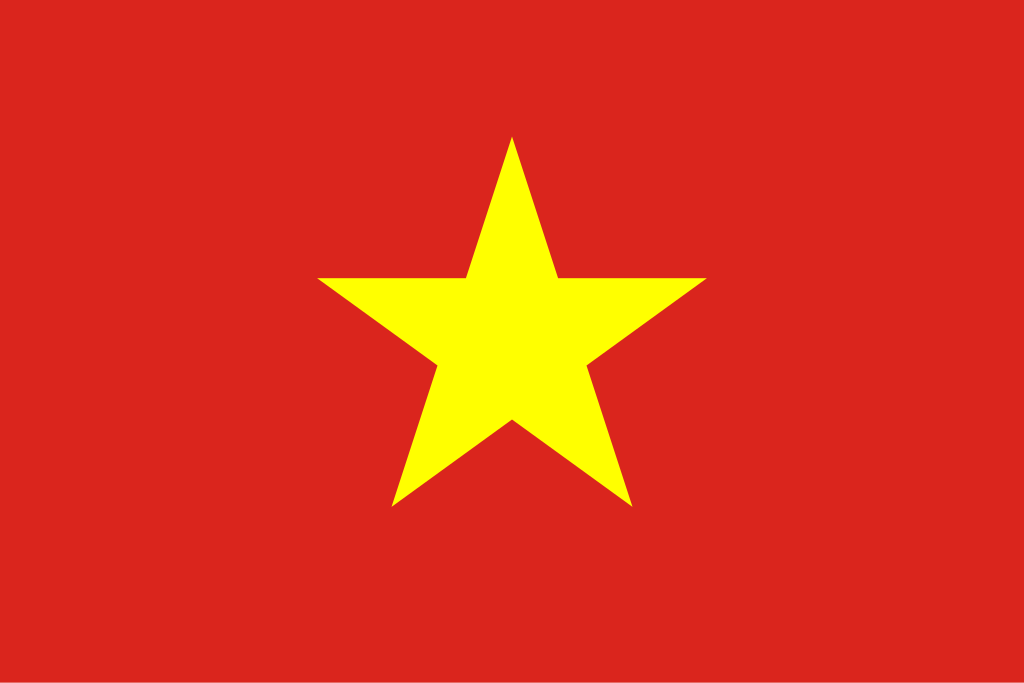 vn icon