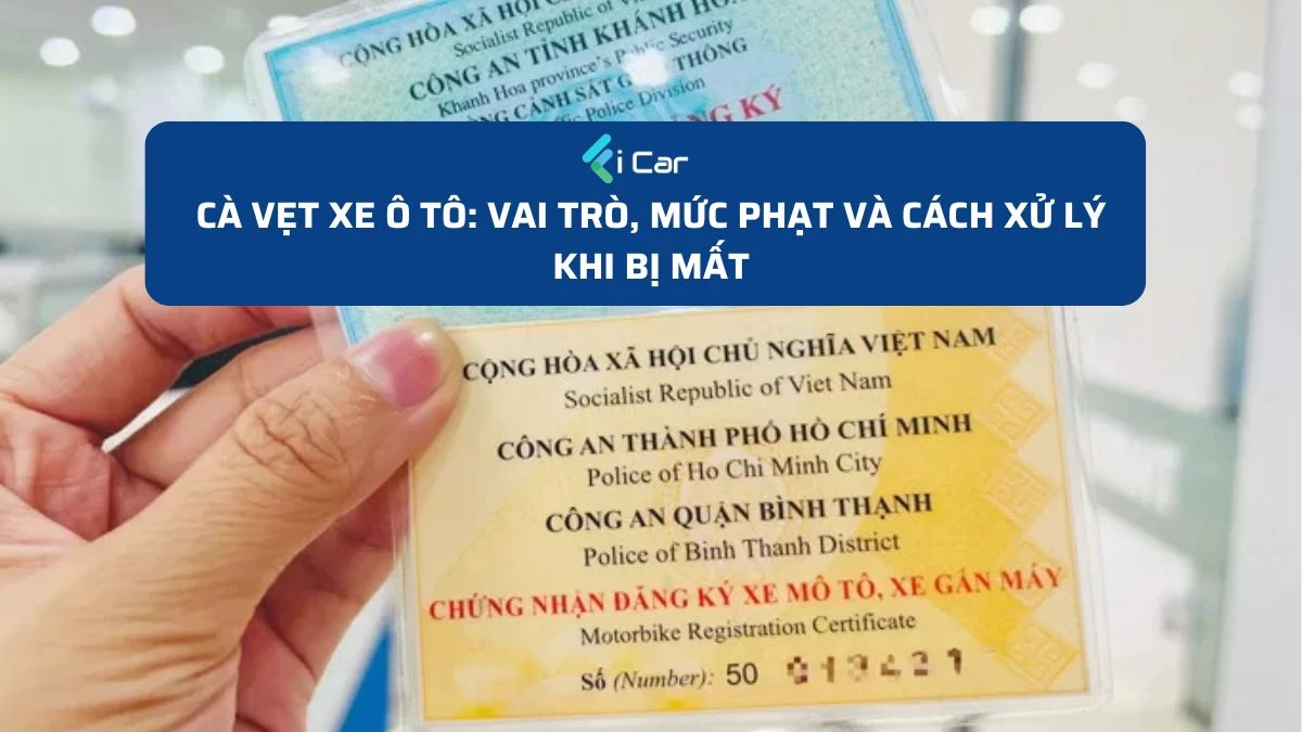 Cà Vẹt Xe Ô Tô: Vai Trò, Mức Phạt và Cách Xử Lý Khi Bị Mất